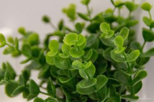 Reportaje Fotográfico Publicitario Apartamento Sarelen. Santa Cruz de La Palma. Salón Comedor Acceso a Internet. Balcón o terraza. 2 Sofás. Plazas en la sala de estar (4). Plazas para cenar (4).Televisión.TV por cable o satélite.Vistas al mar. Wifi.https://www.apartamentosarelen.com